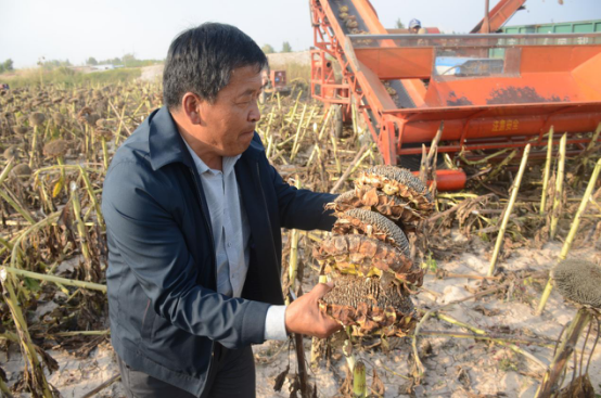 郝存林：以土地流转为引 创乡村致富之道