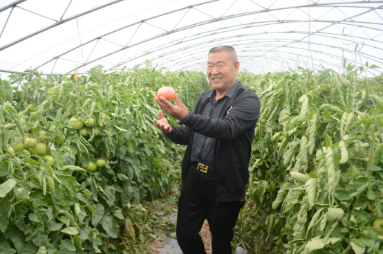 井贵鱼：老板化身&ldquo;土地公&rdquo; 返乡租田做农民