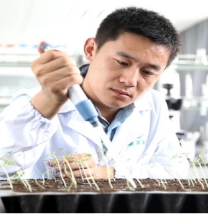 俯身碧野 情注三农&mdash;&mdash;专访新洋丰技术推广部副部长刘世昌