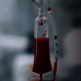 《为生命护航》