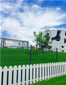 中国品牌进入纵深发展阶段，蒙牛实力诠释&ldquo;加速度&rdquo;