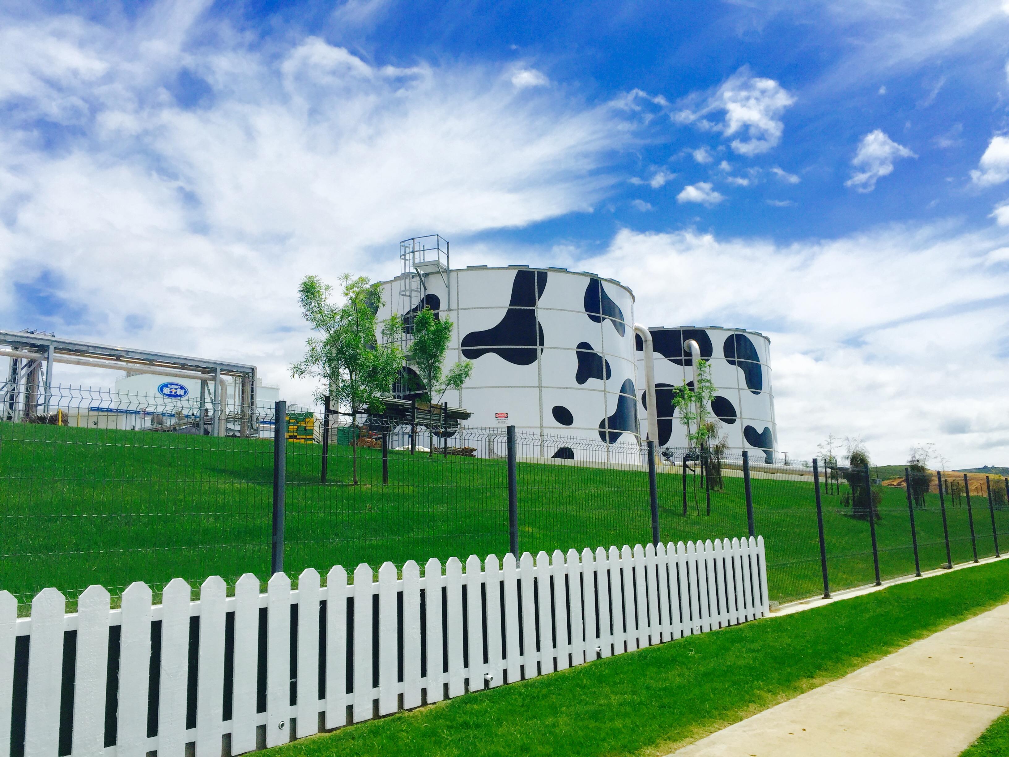 2018年中报 蒙牛实现高质量可持续增长