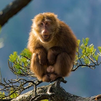 全球首发《伊利集团生物多样性保护报告》