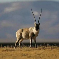 披露+管理+普及 的独有模式