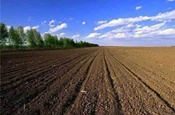 亲土种植百千亿行动落地 面向全国选拔亲土状元