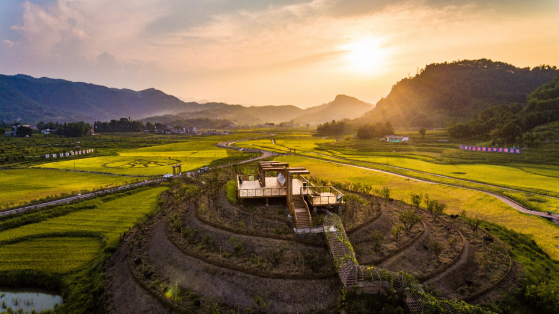 品五粮液佳酿，度和美中国年