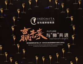 魔狮酒庄拟邀10位中国经销商赴智利参观