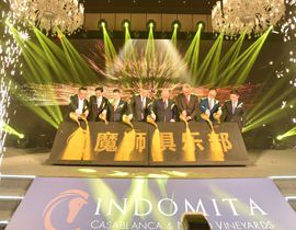 海外业务多点开花，张裕进口酒业务加速弯道超车