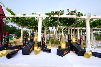 张裕卡斯特酒庄第二代新品亮相