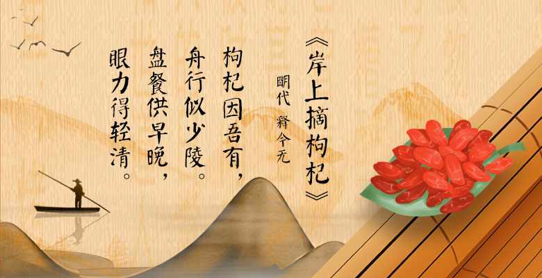 《岸上摘枸杞》