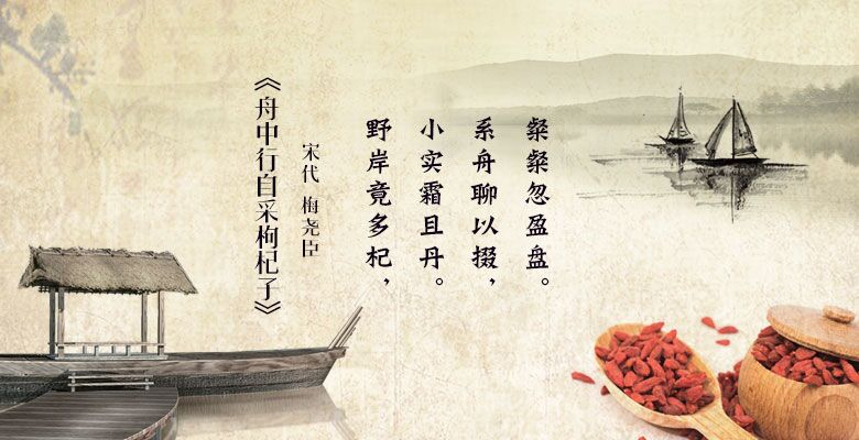 《舟中行自采枸杞子》