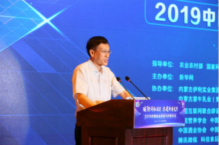 工业和信息化部消费品工业司司长高延敏