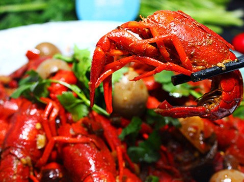 京沪小龙虾今年降价超35% 河北订单量增速第一