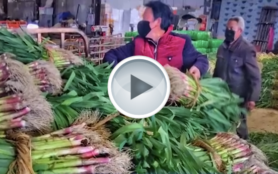 川菜进湖北，充实武汉“菜篮子”