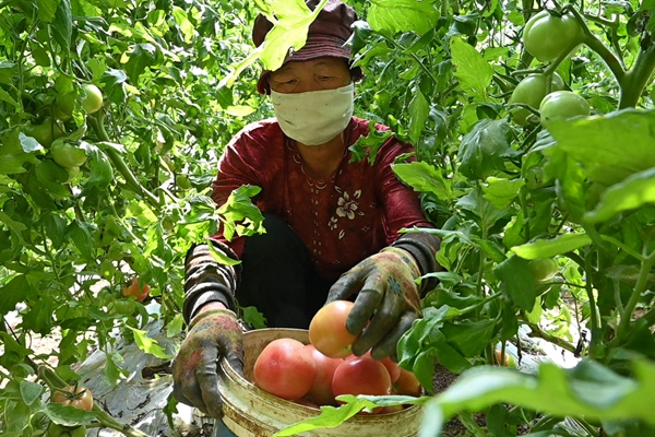 【视频】拜耳作物科学可持续发展