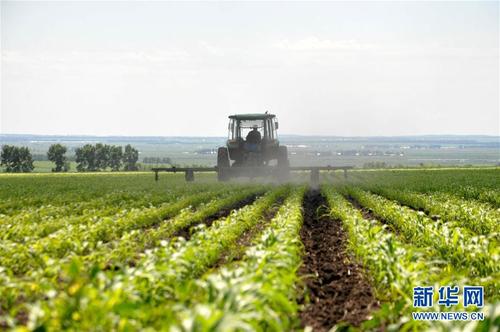 芝加哥农产品期价28日全线下跌