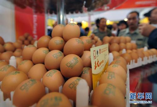 7月份雞蛋價格止跌回升