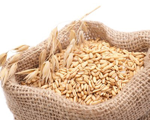 芝加哥农产品期价3日涨跌不一