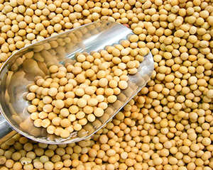 芝加哥农产品期价4日大幅下跌