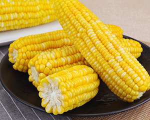 芝加哥农产品期价14日上涨