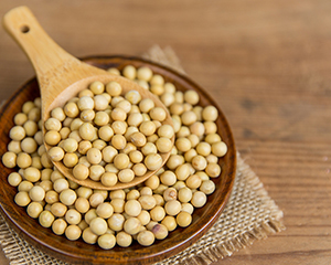 芝加哥农产品期价15日上涨