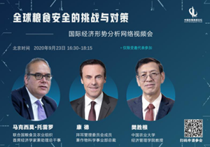 推进国际合作与创新，提升全球粮食系统韧性