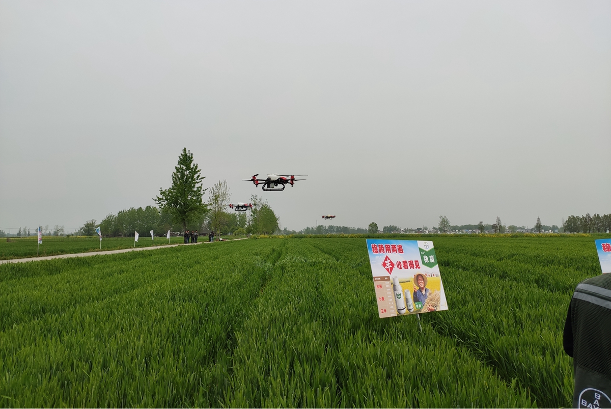 拜耳亮相第三届进博会 宣布捐助20万中国小农户