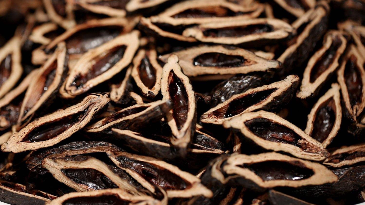 金永植：传统中医药抗击新冠肺炎非常有效