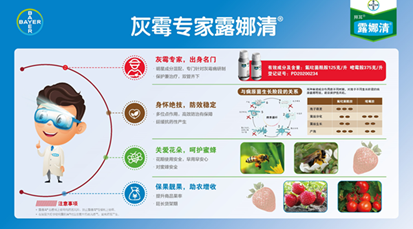 “灰霉专家”拜耳露娜清上市