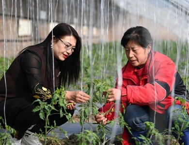 从农民工到企业家的乡村女强人