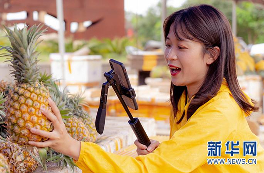 &ldquo;菠萝妹妹&rdquo;王小颖：不要忘记来时的路