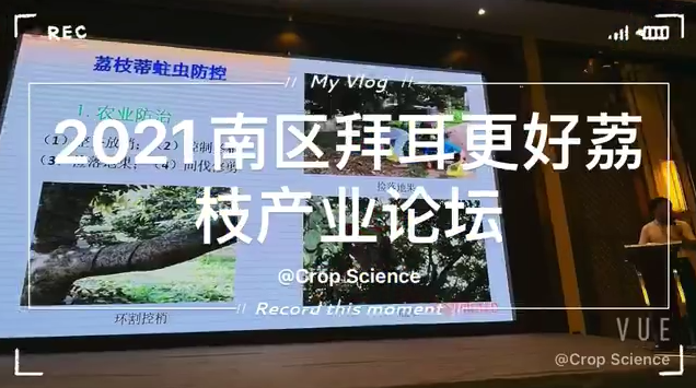 2021南区拜耳更好荔枝产业论坛在广东廉江举行