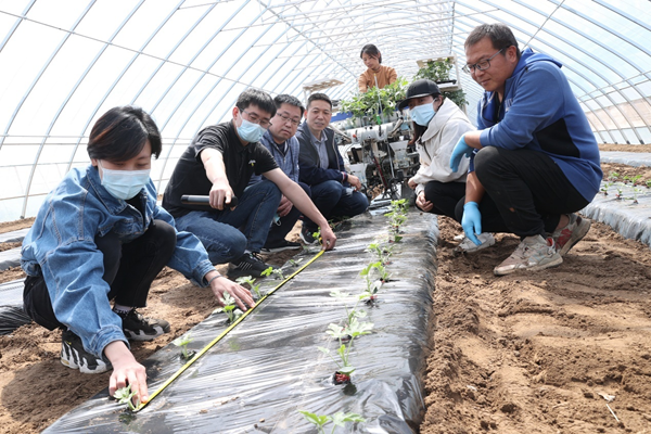 北京西瓜種植逐步實現全程機械化
