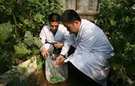 京郊大地乡村振兴系列回顾（四）：农产品质量安全 北京这样做！
