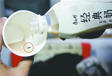 康师傅经典奶茶被曝喝出死苍蝇 售后拒绝道歉