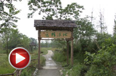 让梦想照进湿地