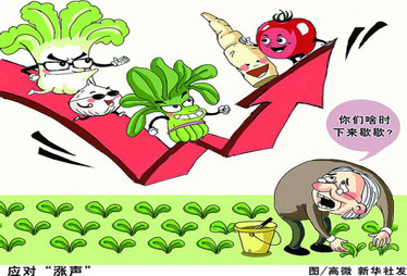 “地头价”低 “菜篮价”高 菜价到底涨在哪儿