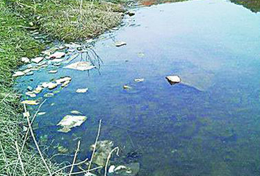 观察三:取水源头垃圾围城 是否影响水质?