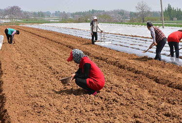 剧毒农药神农丹事件追踪：市场出货量降两成多
