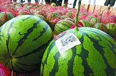 安徽建立农产品生产记录确保“可追溯”