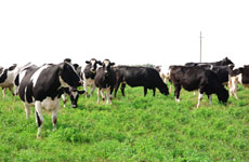 他们在牧场度过美好童年