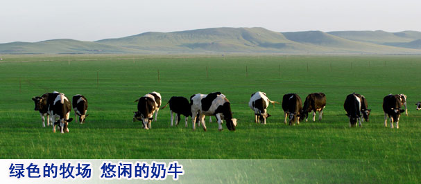 伊利奶源知多少