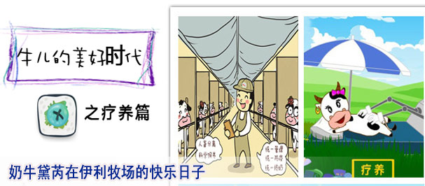 奶牛黛芮在伊利牧场的快乐日子