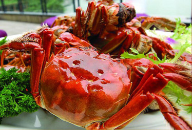 中秋市场面临"去泡沫" 大闸蟹转攻个人消费者