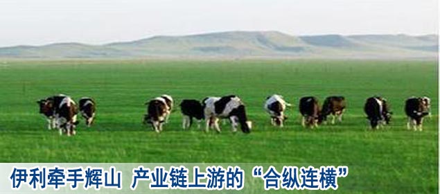 伊利牵手辉山 产业链上游的&ldquo;合纵连横&rdquo;