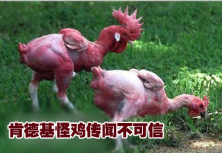 1987年11月12日肯德基在北京前门繁华地带设