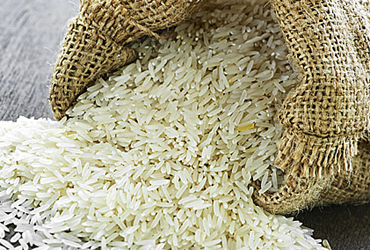 最佳惊悚片&mdash;&mdash;"镉米事件"