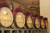 丁洛特级赤霞珠干红