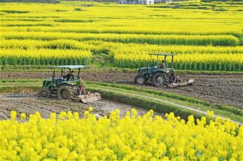 春分将至农事忙