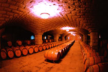 张裕卡斯特酒庄酒